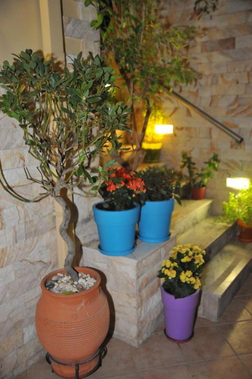 Sofia Pension Rhodes City 외부 사진